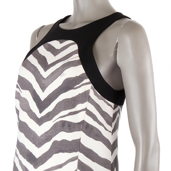 Emilio Pucci Zebra dress! - Picture 5 of 7